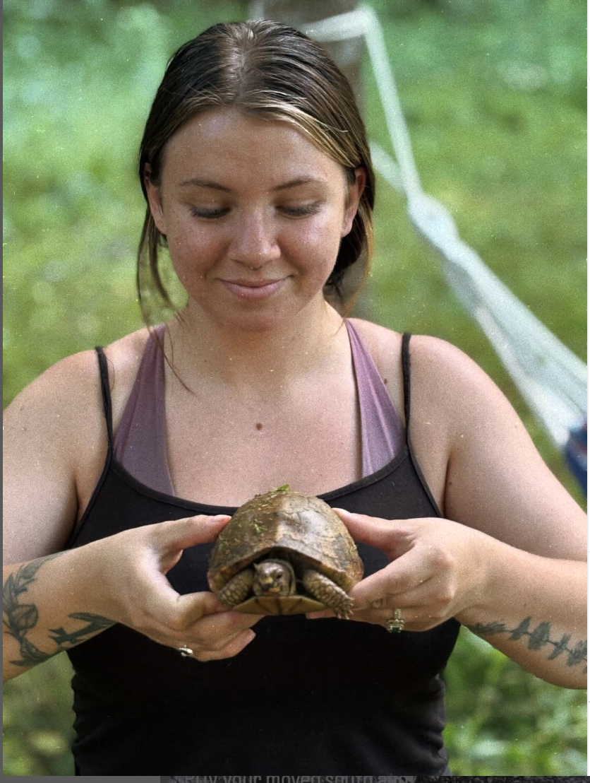 Wild life turtle at Zion Hillside