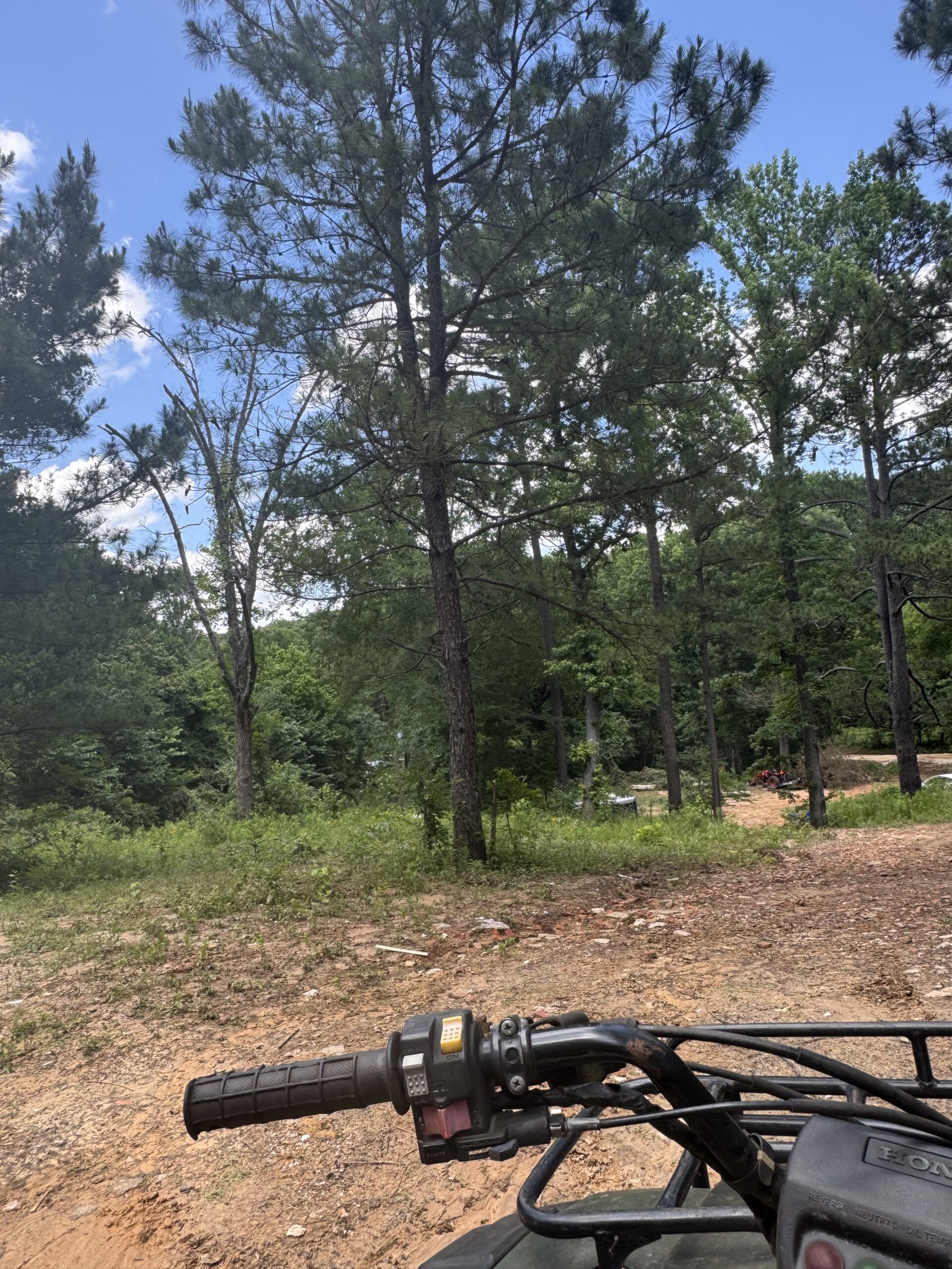 Zion Hillside 4-wheeling